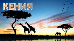 Кения - почивка в Момбаса